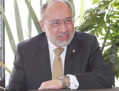 EL DERECHO DE ACCIÓN