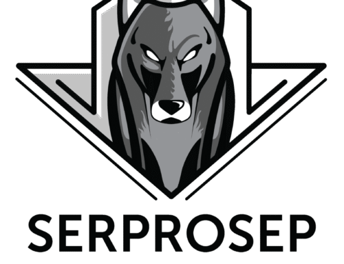 SERPROSEP Solidaridad y Apoyo en Veracruz