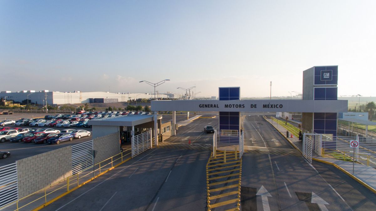 WhatsApp Image 2026-03-26 at 00.45.30