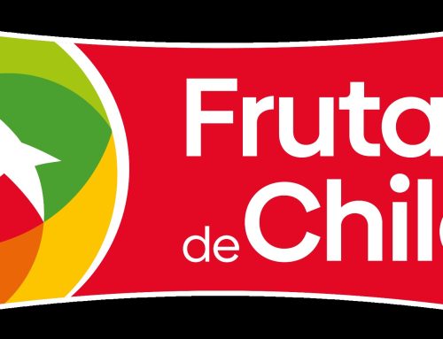 Kiwis de Chile inspira una experiencia donde la belleza comienza desde adentro