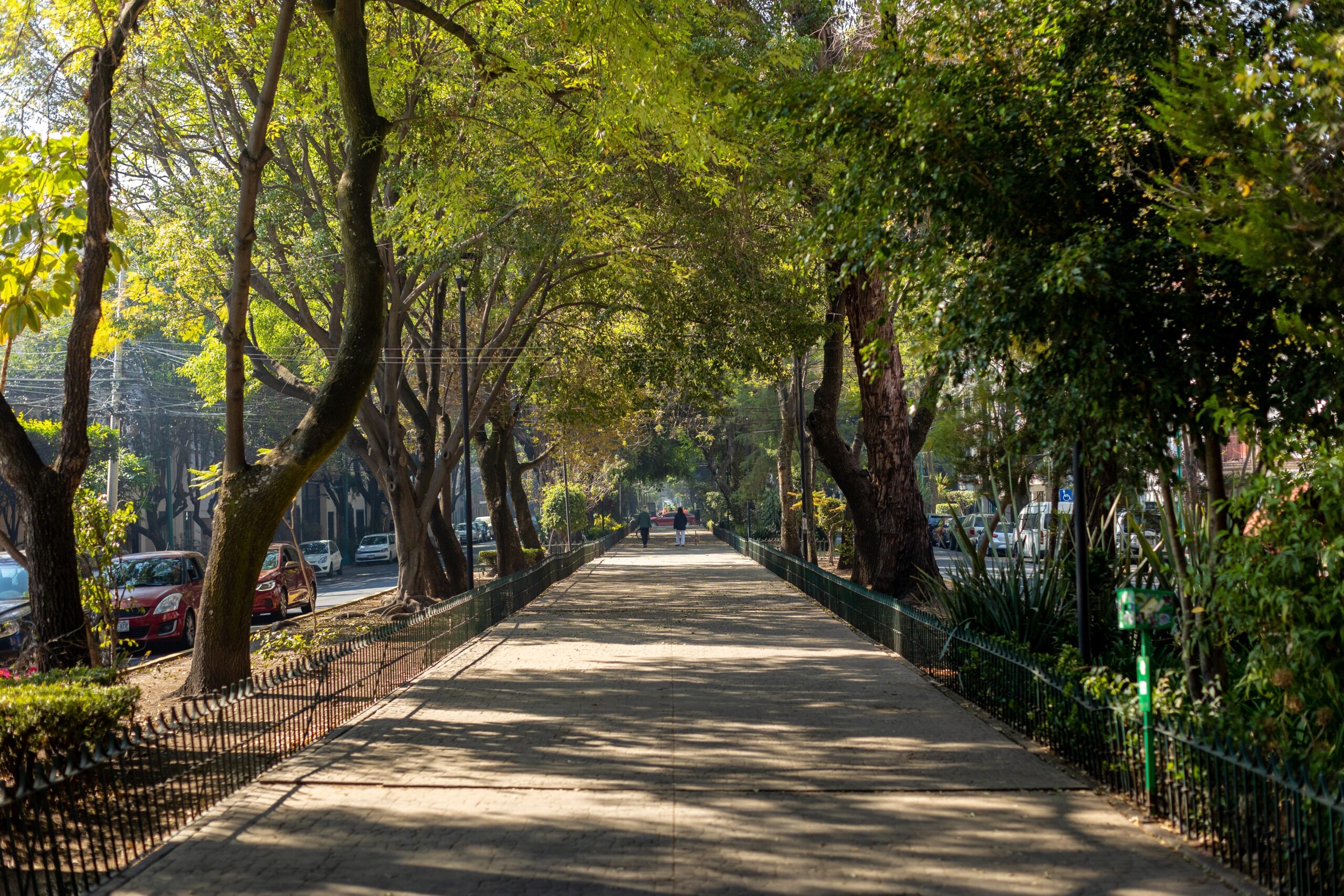 Ciudad de México y la arquitectura